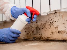 Best Commercial Mold Inspection  in Homeacre Lyndora, PA